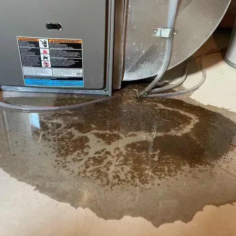 Appliance Leak Cleanup in Douglas County, IL